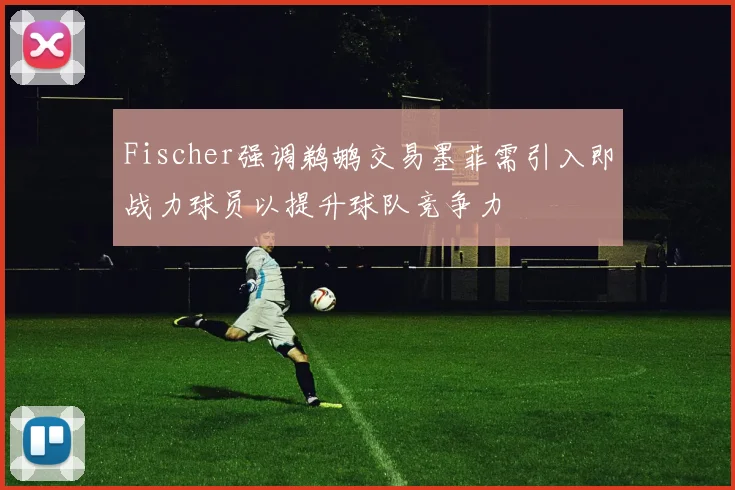 Fischer强调鹈鹕交易墨菲需引入即战力球员以提升球队竞争力