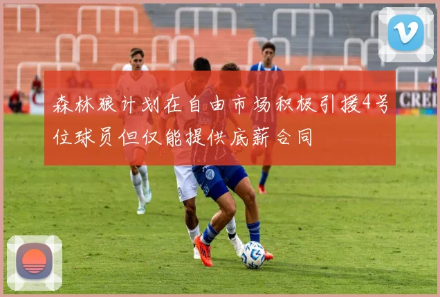 森林狼计划在自由市场积极引援4号位球员但仅能提供底薪合同